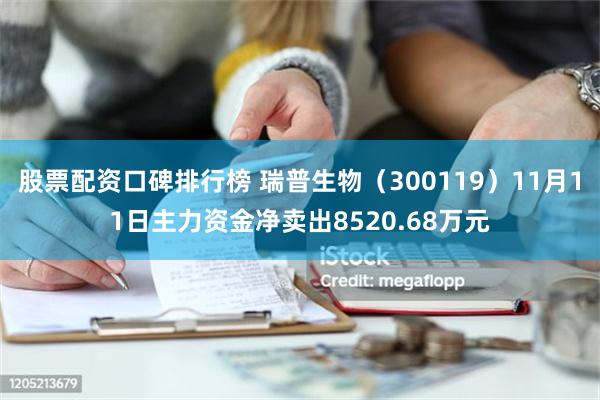 股票配资口碑排行榜 瑞普生物（300119）11月11日主力资金净卖出8520.68万元