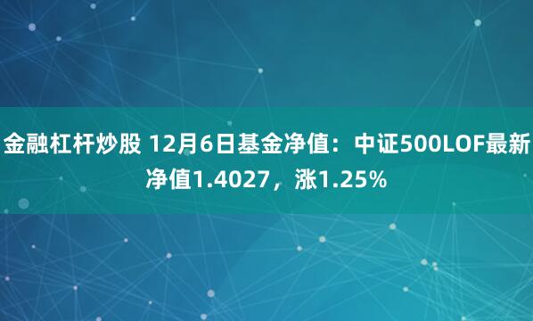 金融杠杆炒股 12月6日基金净值：中证500LOF最新净值1.4027，涨1.25%