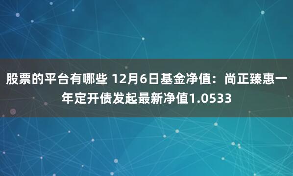 股票的平台有哪些 12月6日基金净值：尚正臻惠一年定开债发起最新净值1.0533