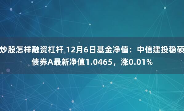 炒股怎样融资杠杆 12月6日基金净值：中信建投稳硕债券A最新净值1.0465，涨0.01%