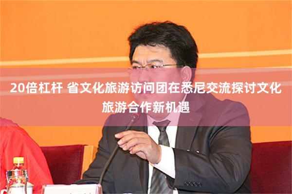20倍杠杆 省文化旅游访问团在悉尼交流探讨文化旅游合作新机遇