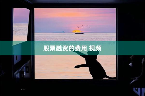股票融资的费用 视频