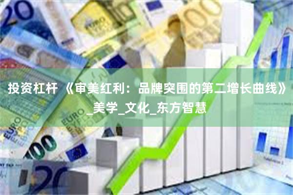 投资杠杆 《审美红利：品牌突围的第二增长曲线》_美学_文化_东方智慧