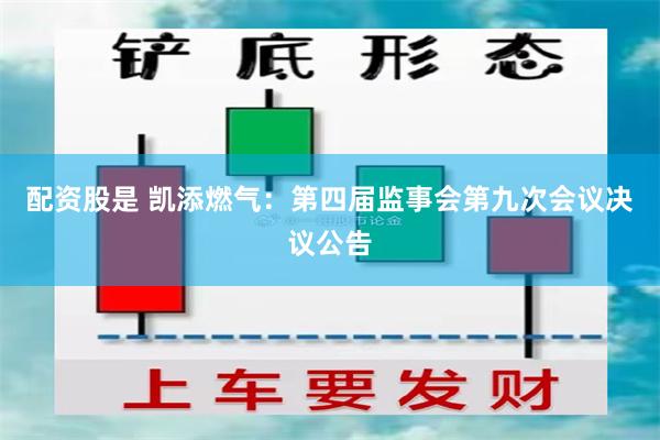 配资股是 凯添燃气：第四届监事会第九次会议决议公告